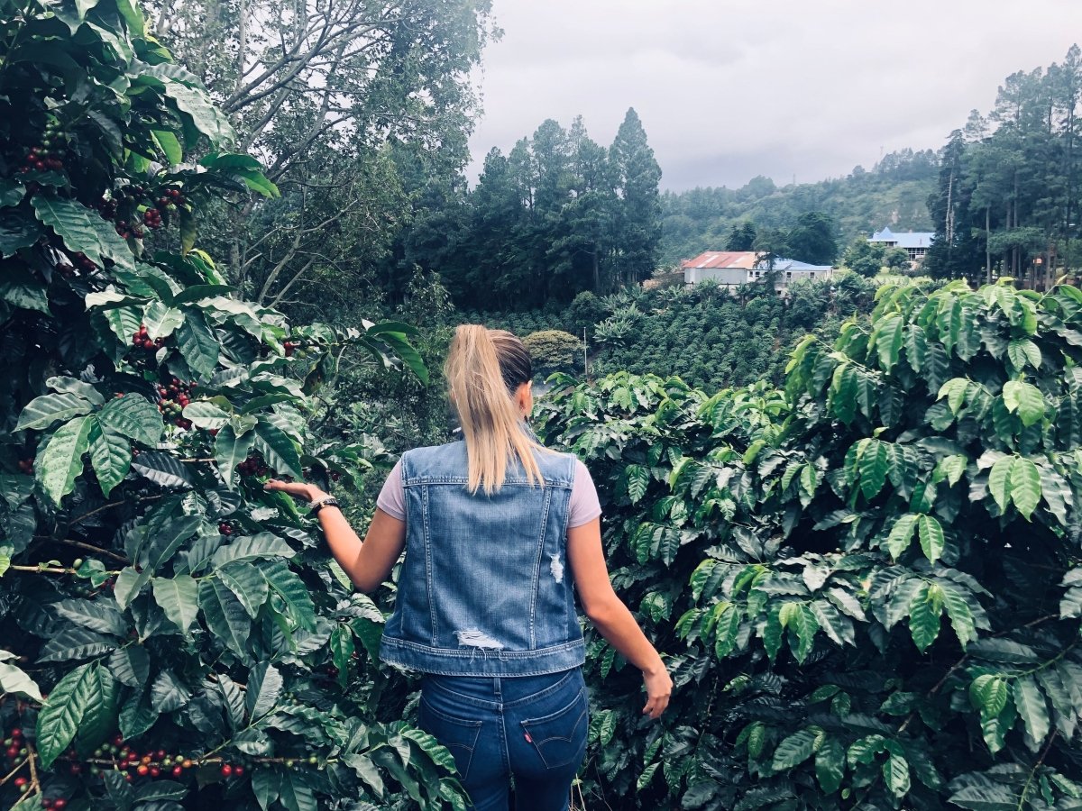 coffee farm lady.