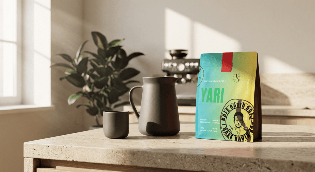 Best Panama Coffee: Perfect for Lattes, Cold Brew, and More