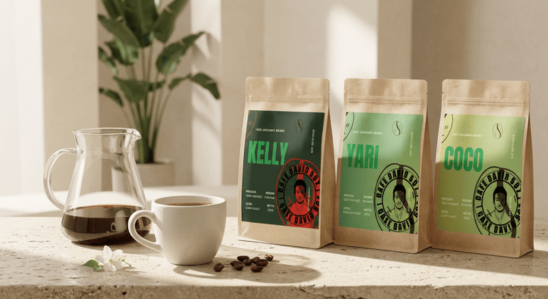 Best Panama Coffee: Latte, Cold Brew, and Pour Over Picks