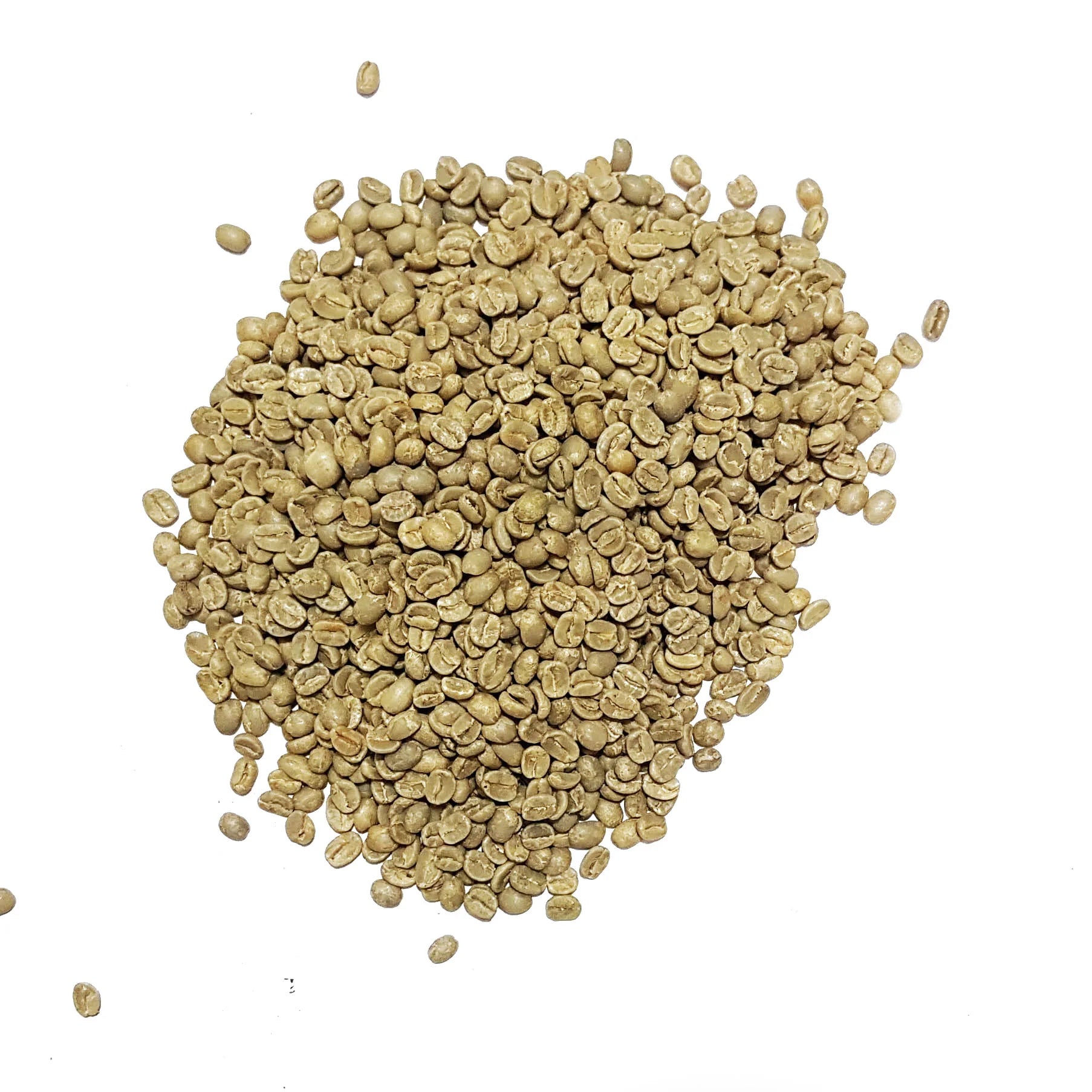 COFFEE YARI – MEDIUM ROAST – 1 LB